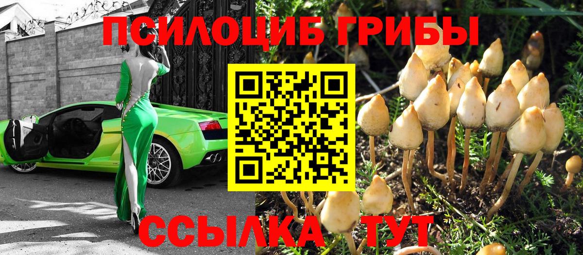 купить закладку  Галлюциногенные грибы мухоморы  Вход с VPN  Псилоцибиновые грибы ЛСД  Сегежа 